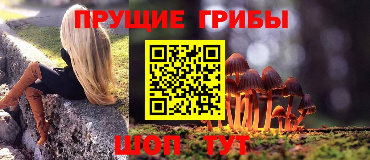 Псилоцибиновые грибы Cubensis  Вход с VPN  Заречный 