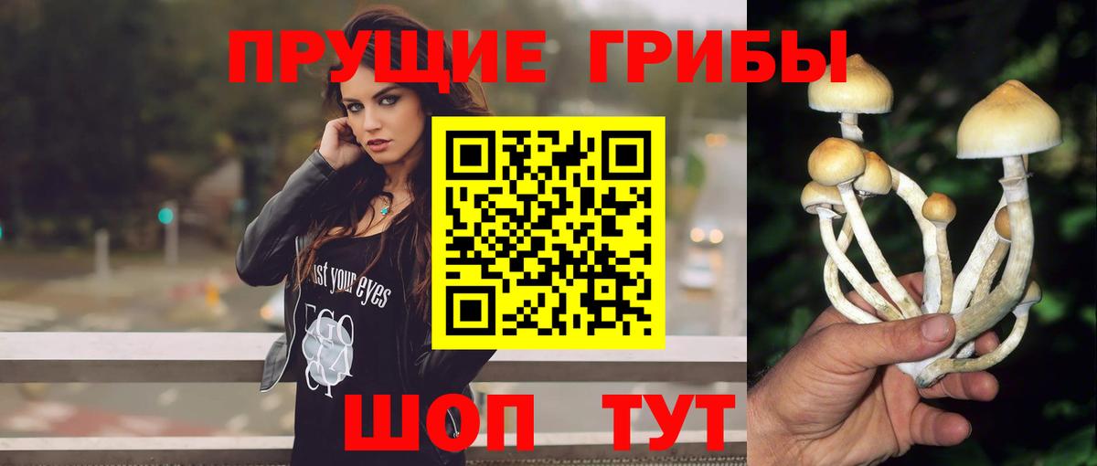 Галлюциногенные грибы прущие грибы Заречный